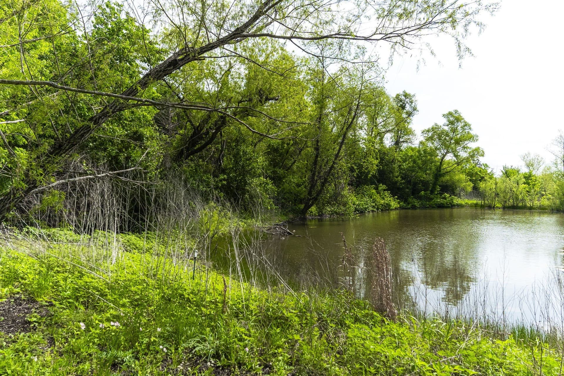 2.5 acres in Ellis County