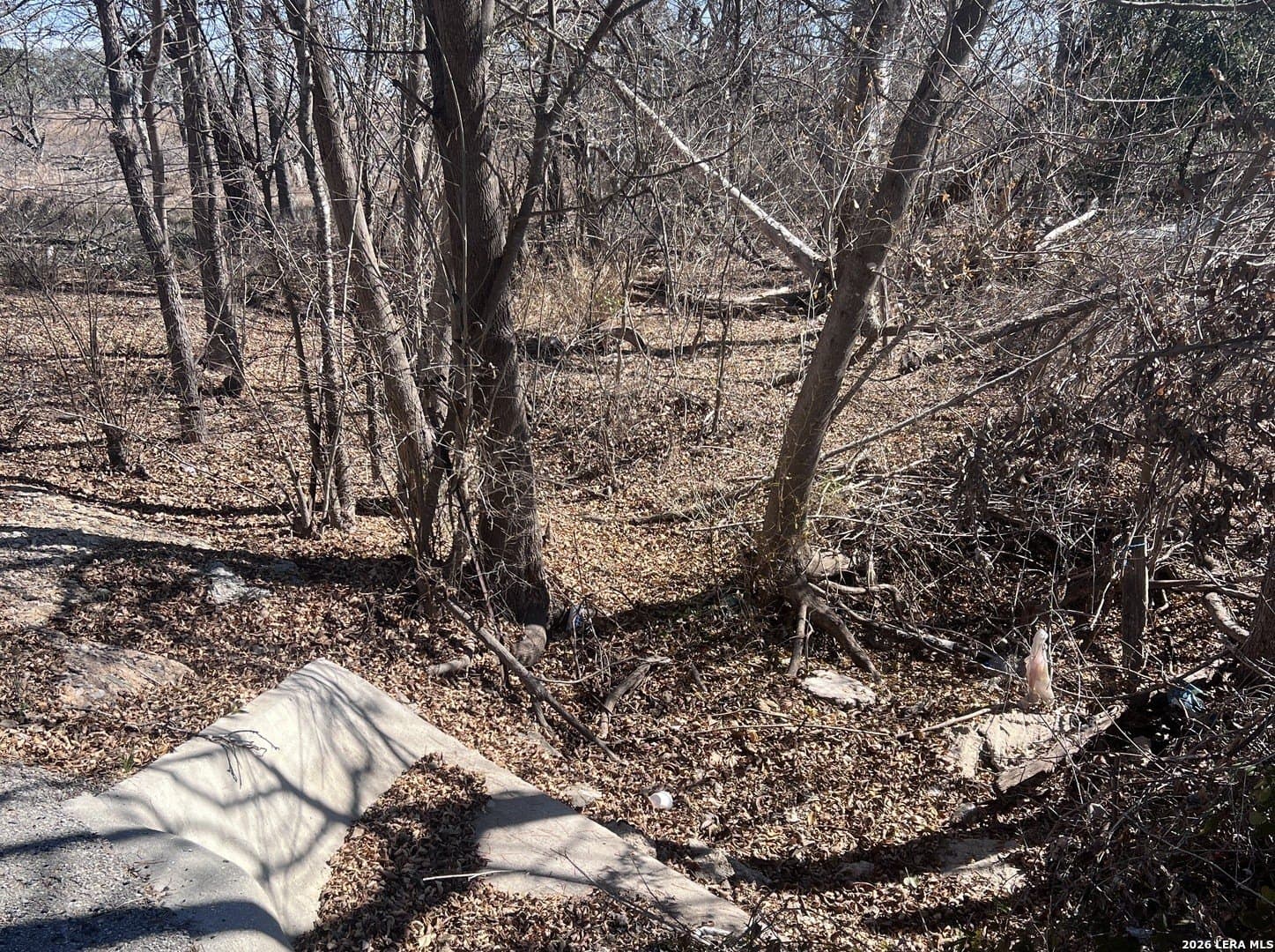 5 acres in Bexar County