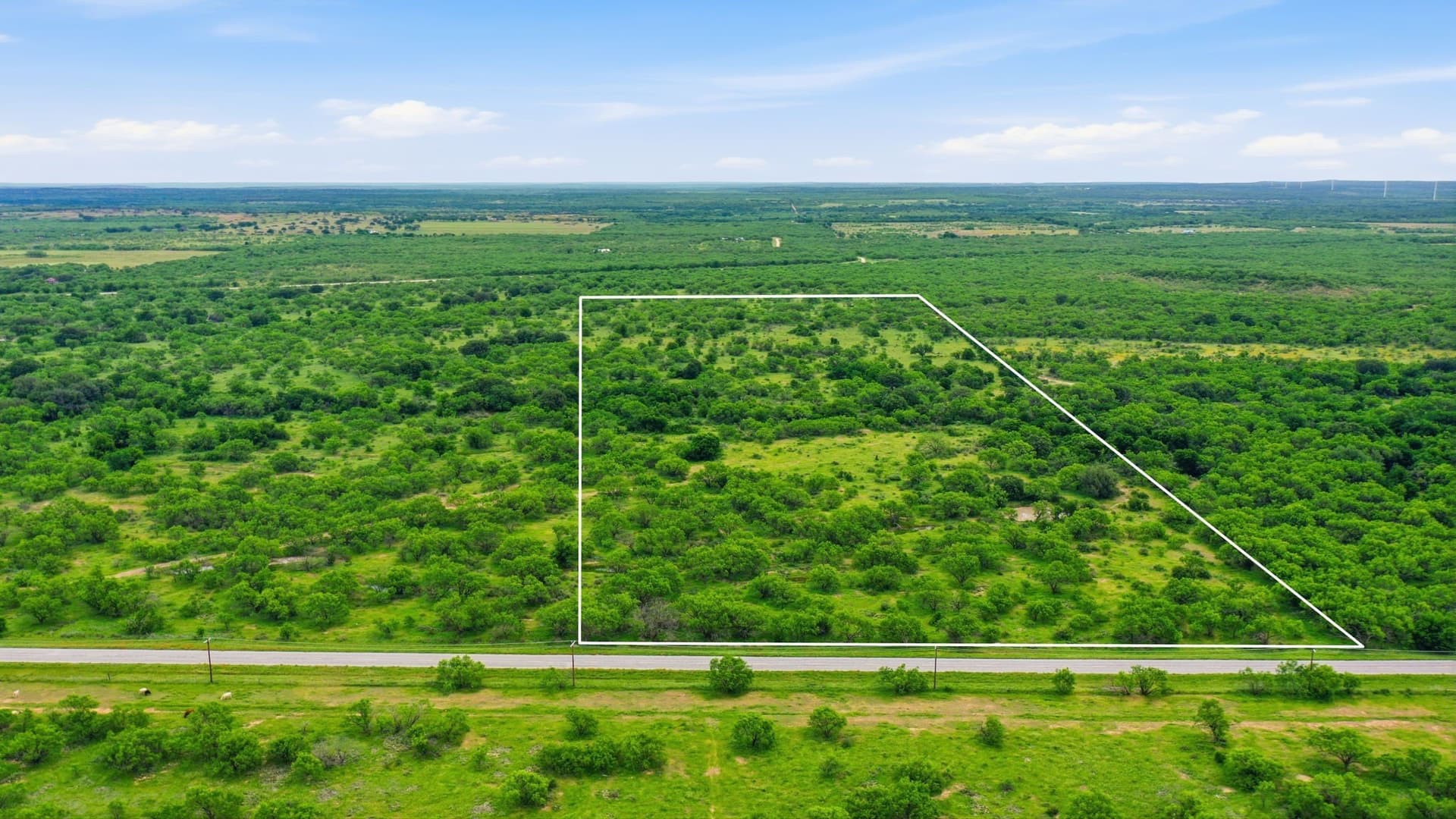 40 acres in Shackelford County