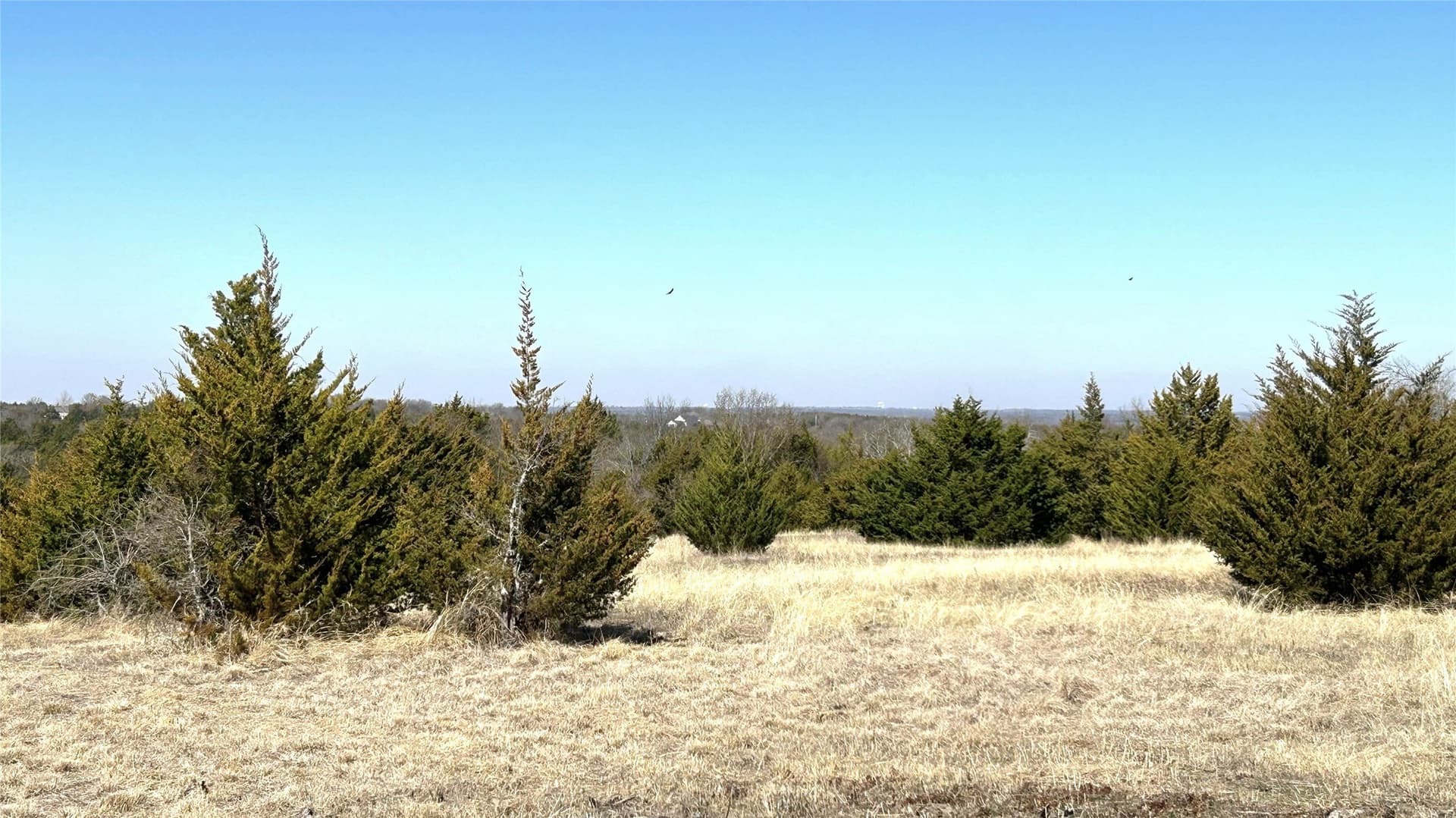 18.77 acres in Grayson County