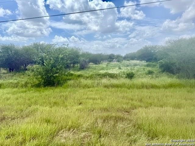 3 acres in Bee County