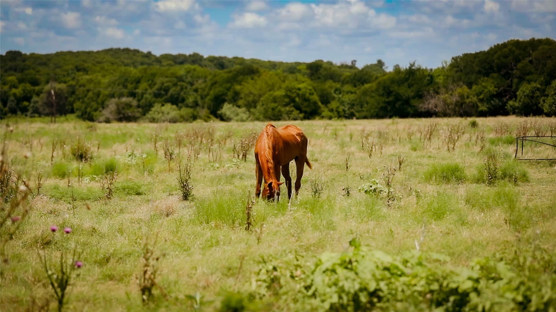 10.45 acres in Ellis County