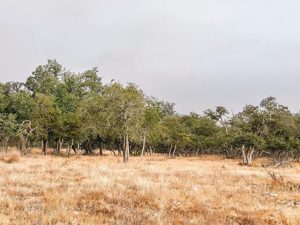 4.3 acres in Gillespie County