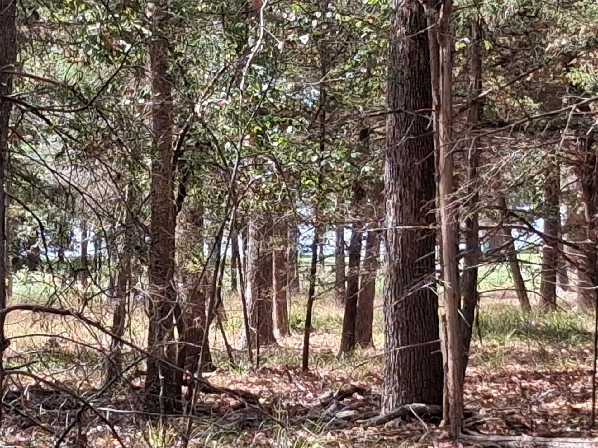 0.24 acres in Van Zandt County