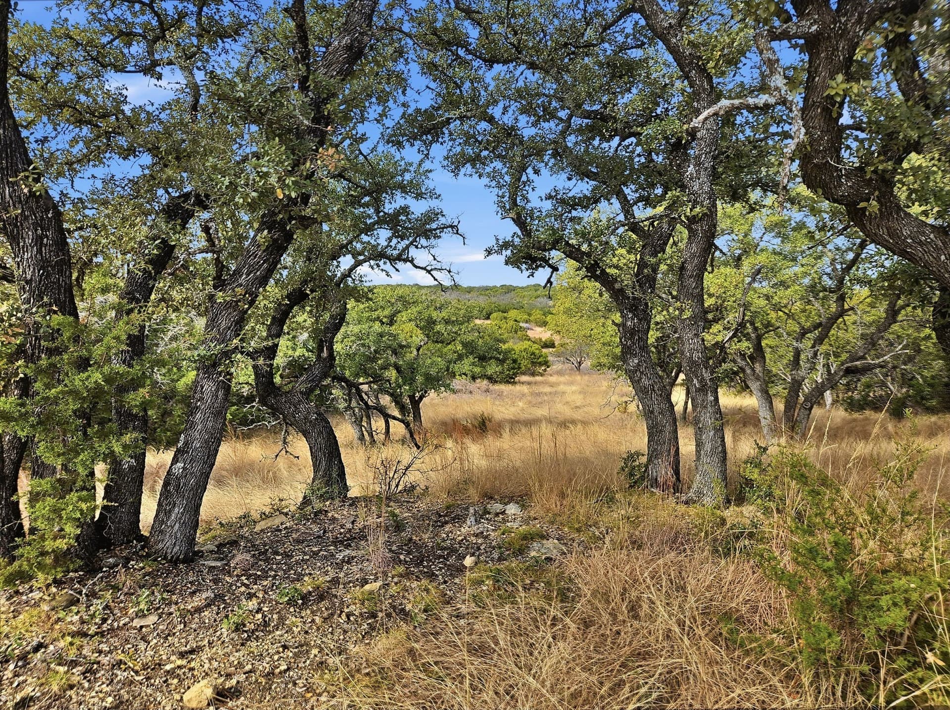 102.74 acres in Coryell County
