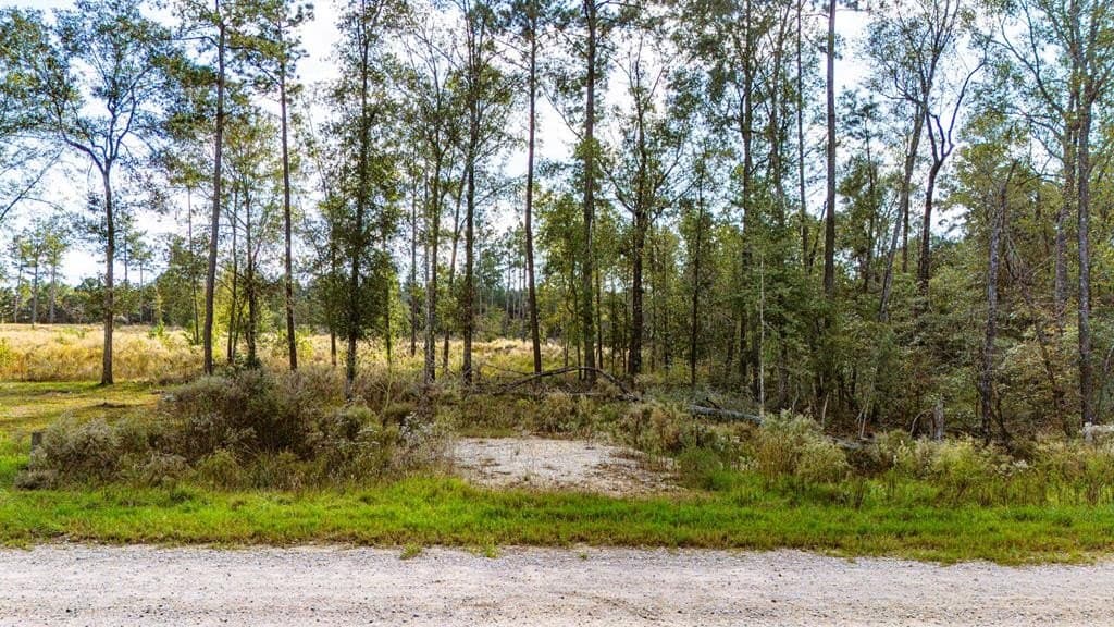 2.99 acres in Texas County