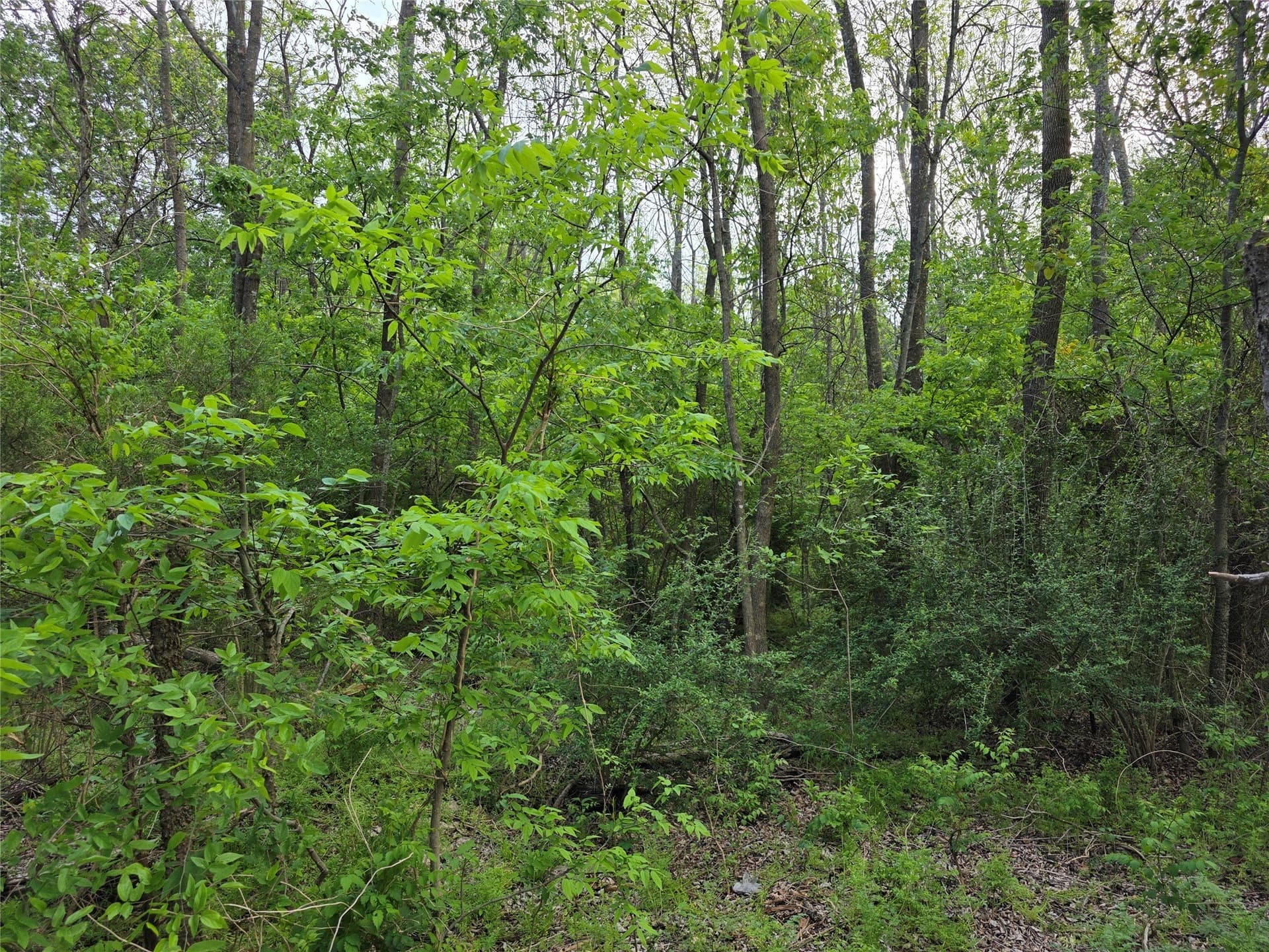 1.84 acres in Hunt County