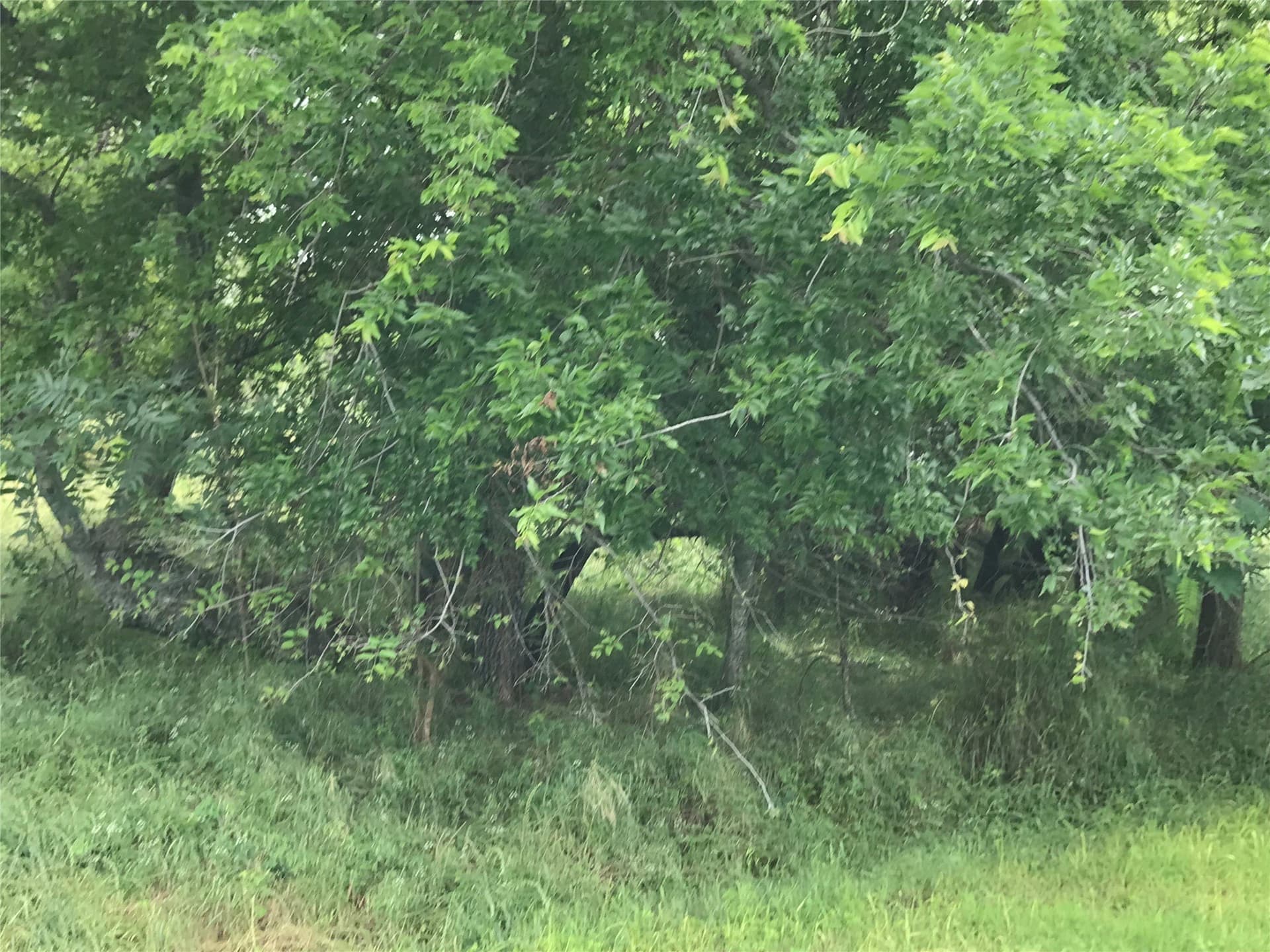 0.31 acres in Hill County