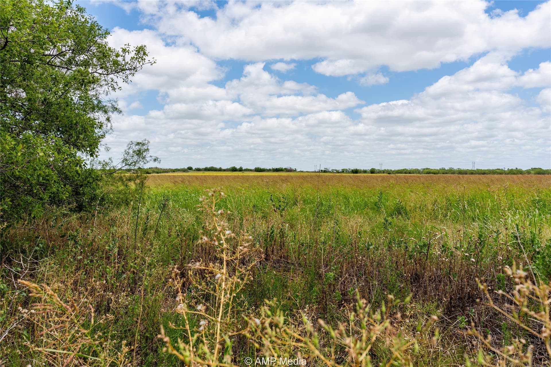 20 acres in Jones County
