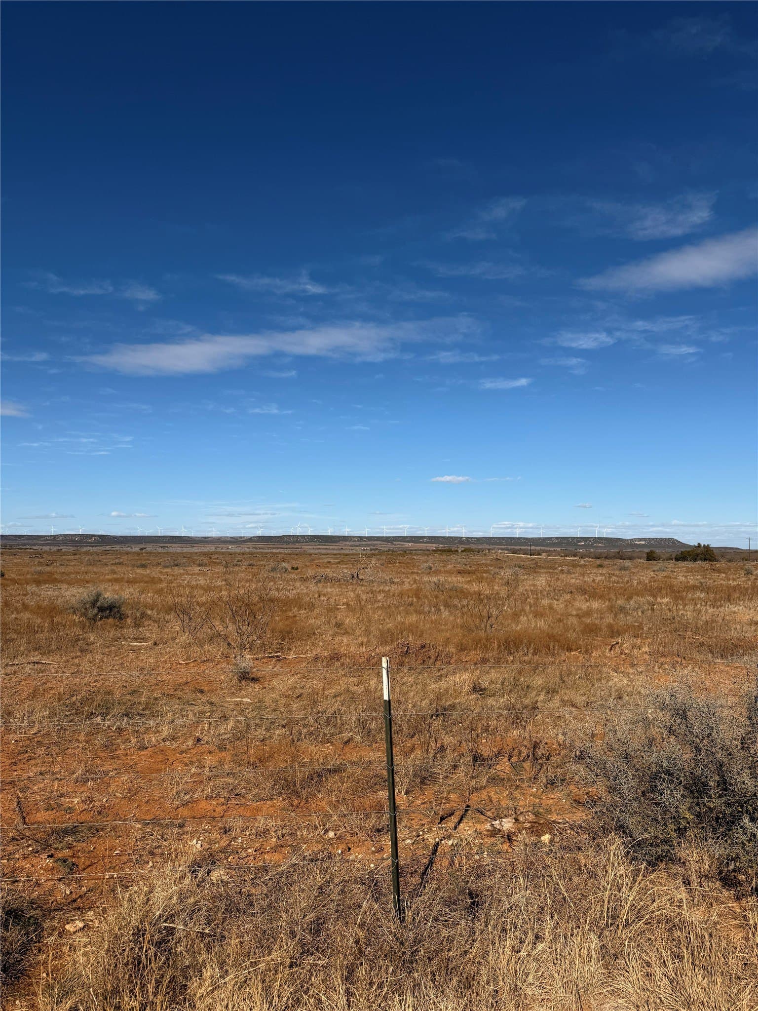 25 acres in Taylor County