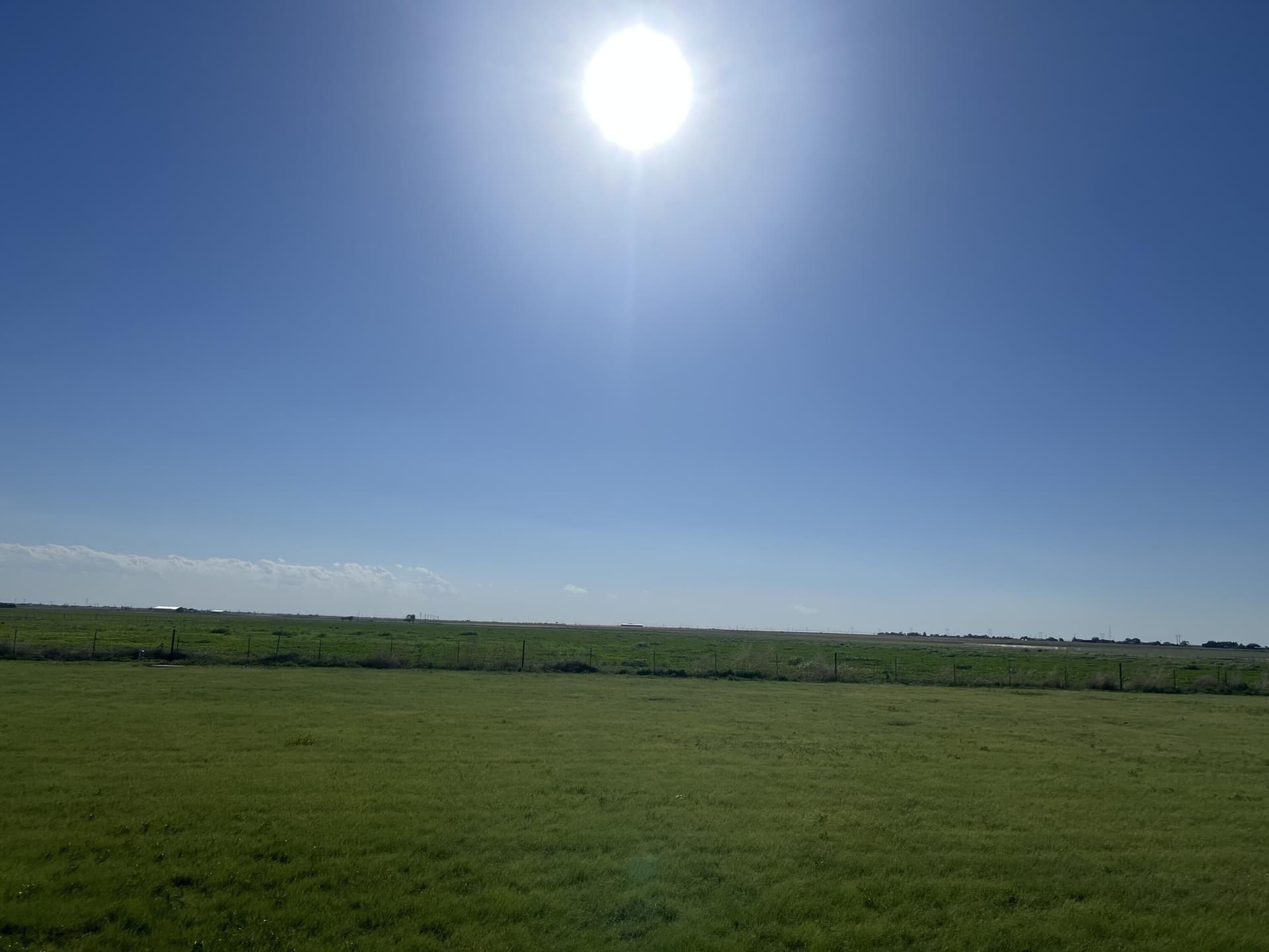 49 acres in Lubbock County