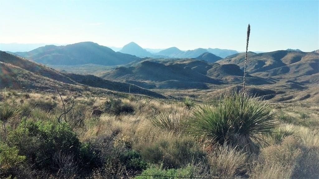 97 acres in Brewster County