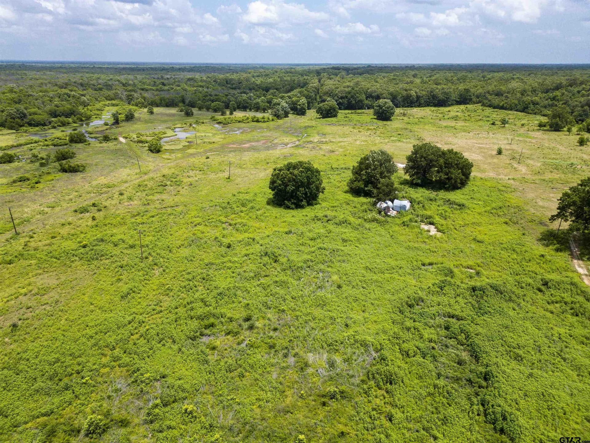 240 acres in Titus County