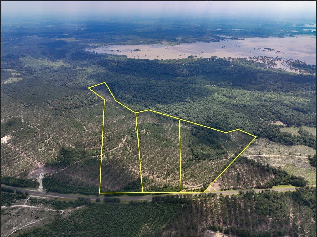 36 acres in Tyler County