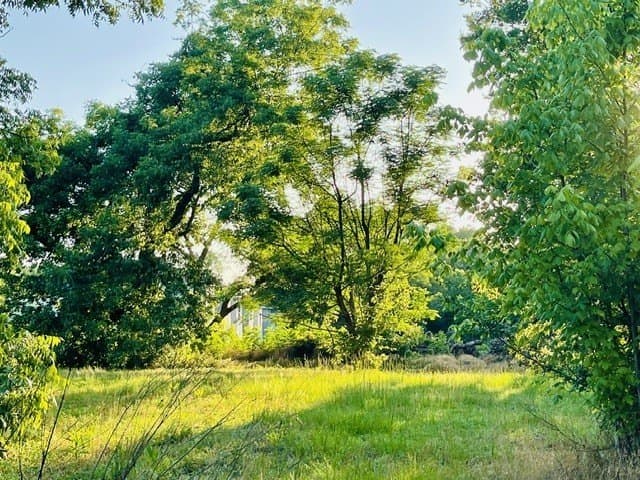 1.17 acres in Wood County