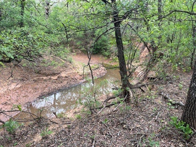 23 acres in Young County
