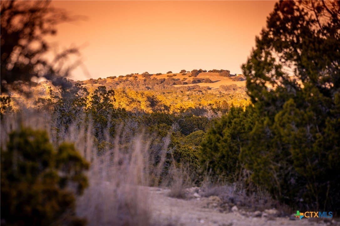 42 acres in Gillespie County