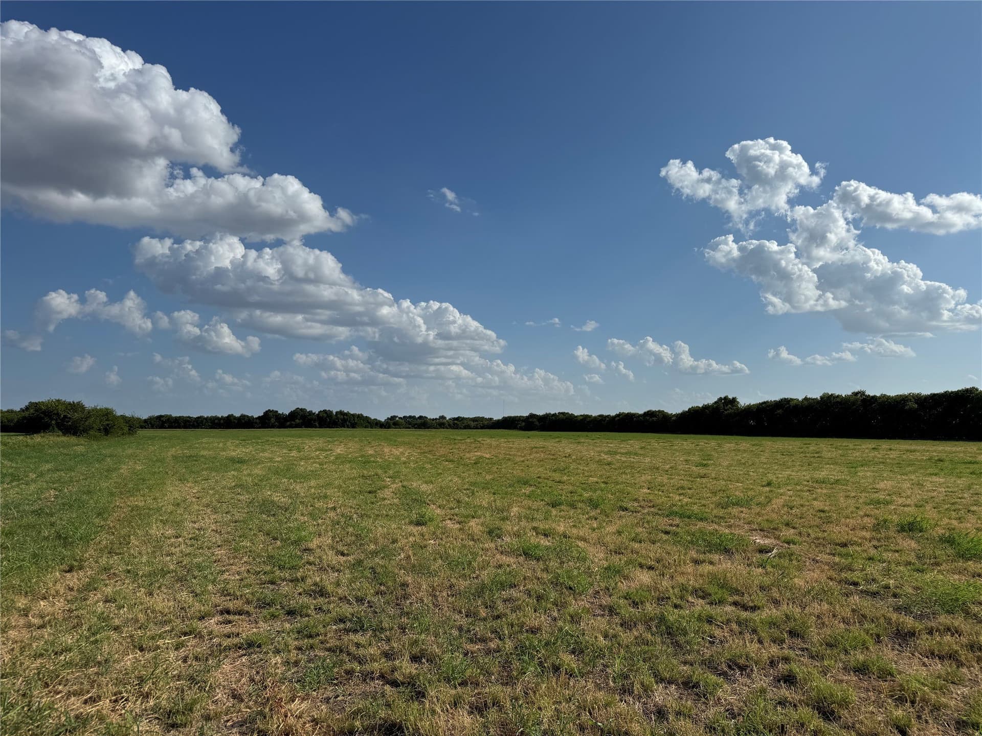 23.57 acres in Fannin County