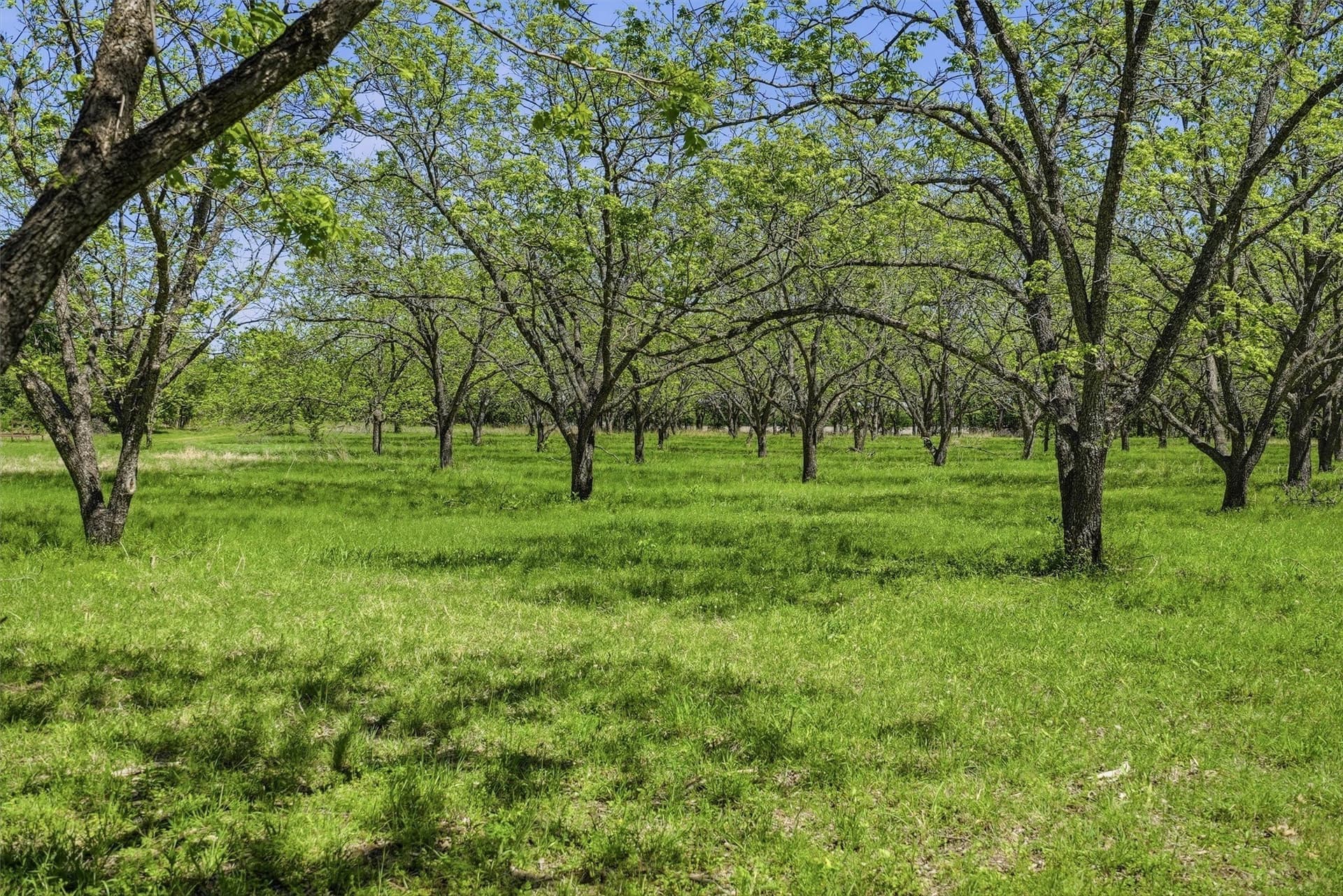 20.01 acres in Hood County