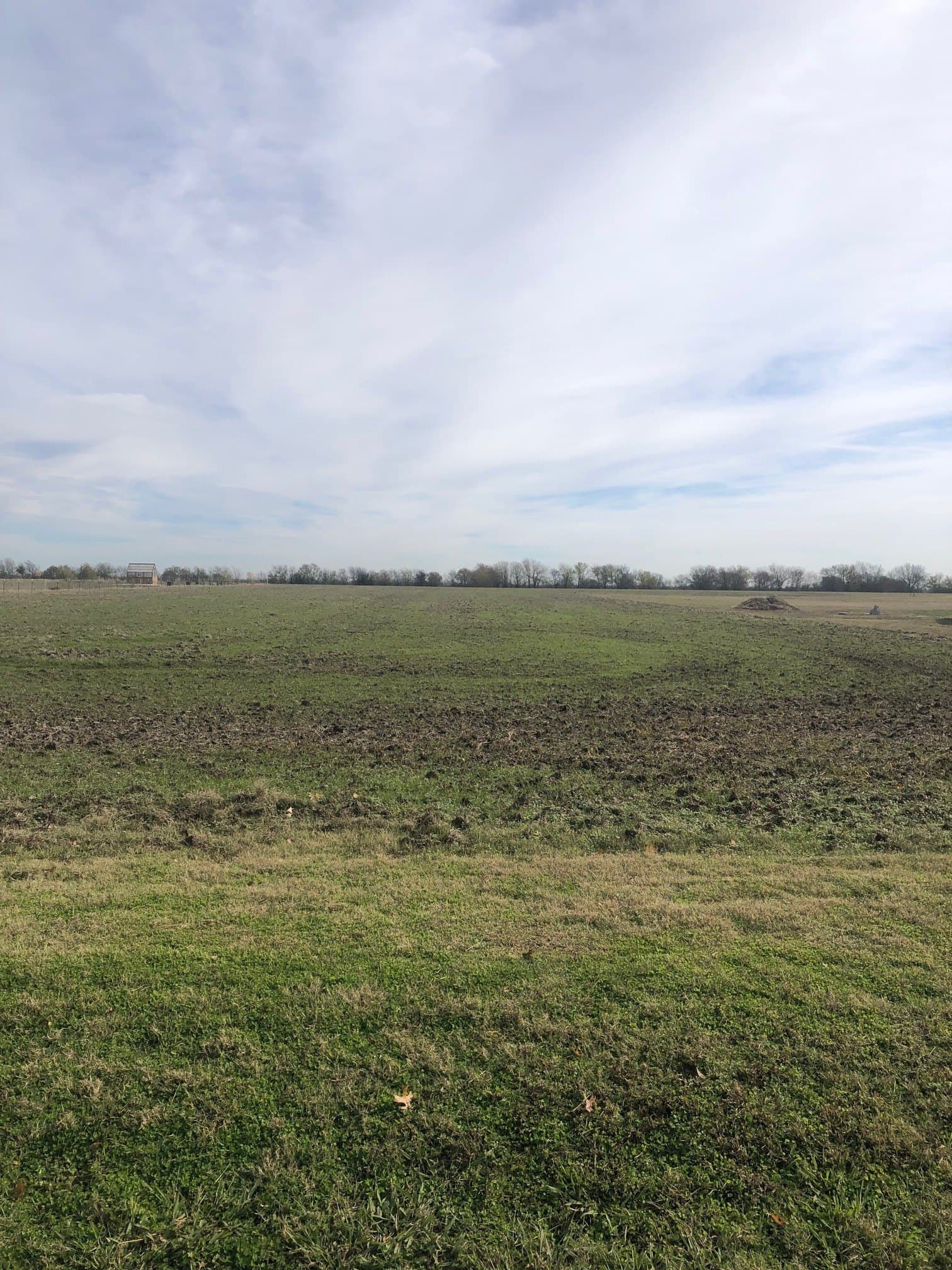 3 acres in Grayson County