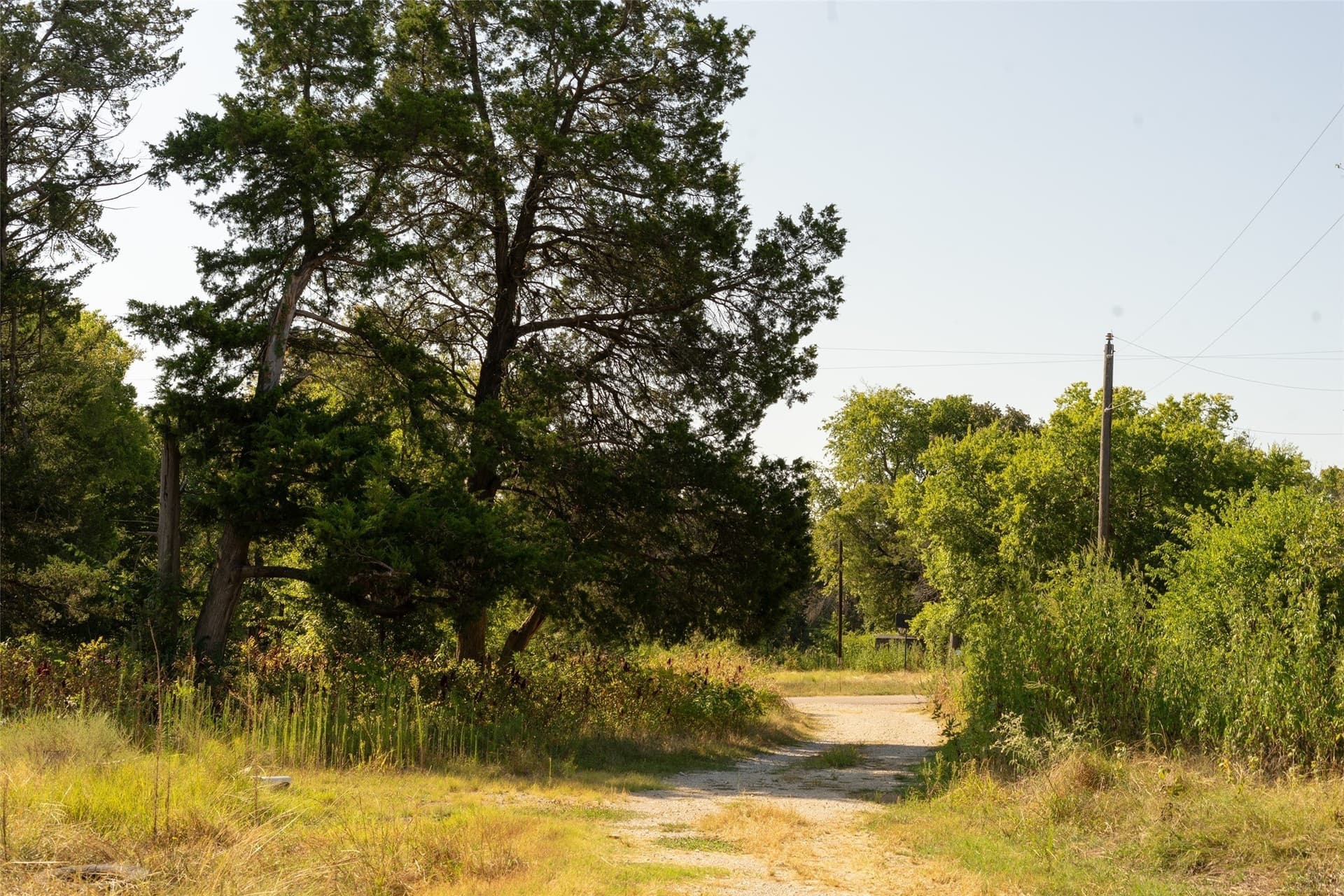 5 acres in Grayson County
