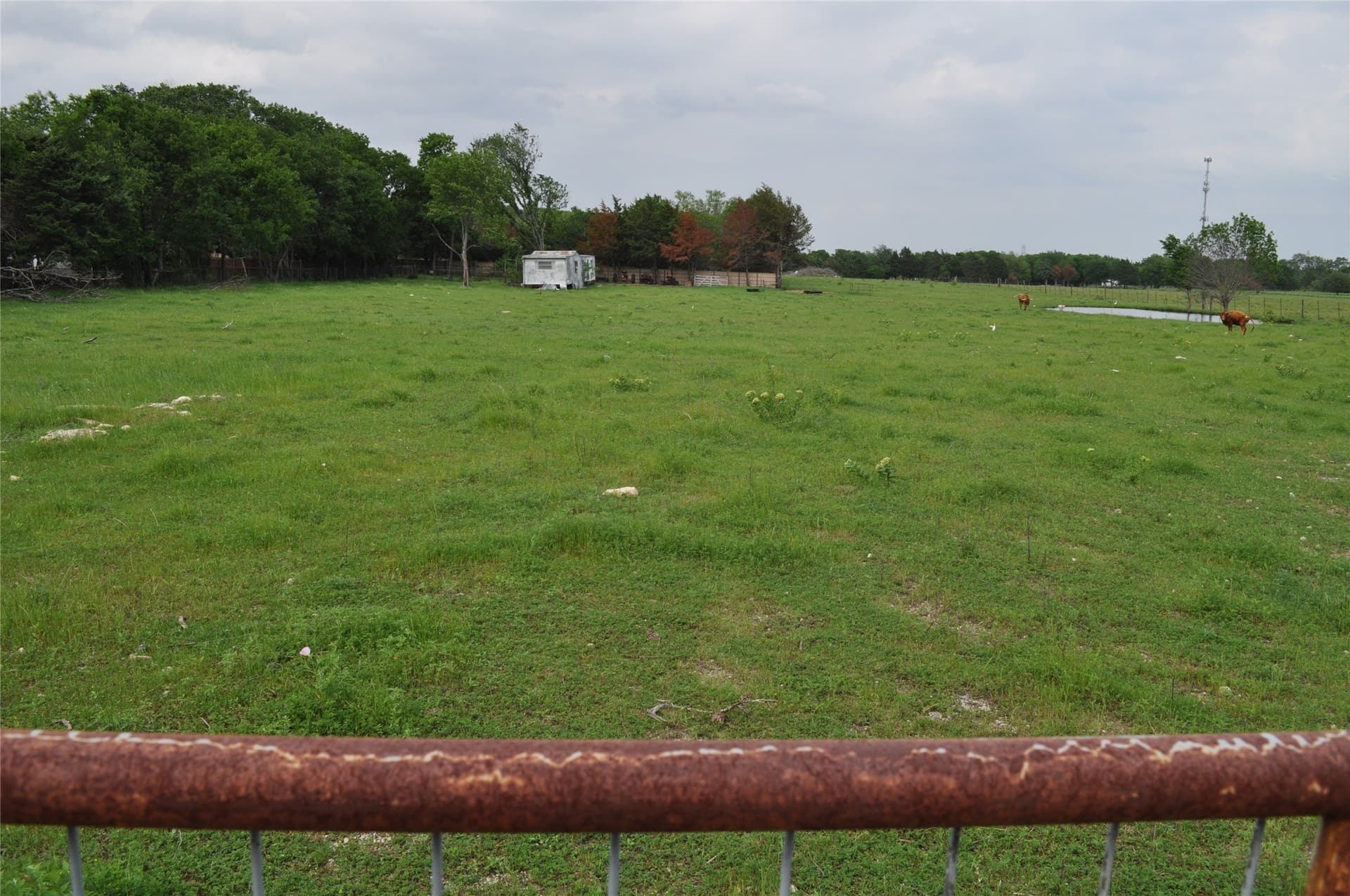 5 acres in Dallas County