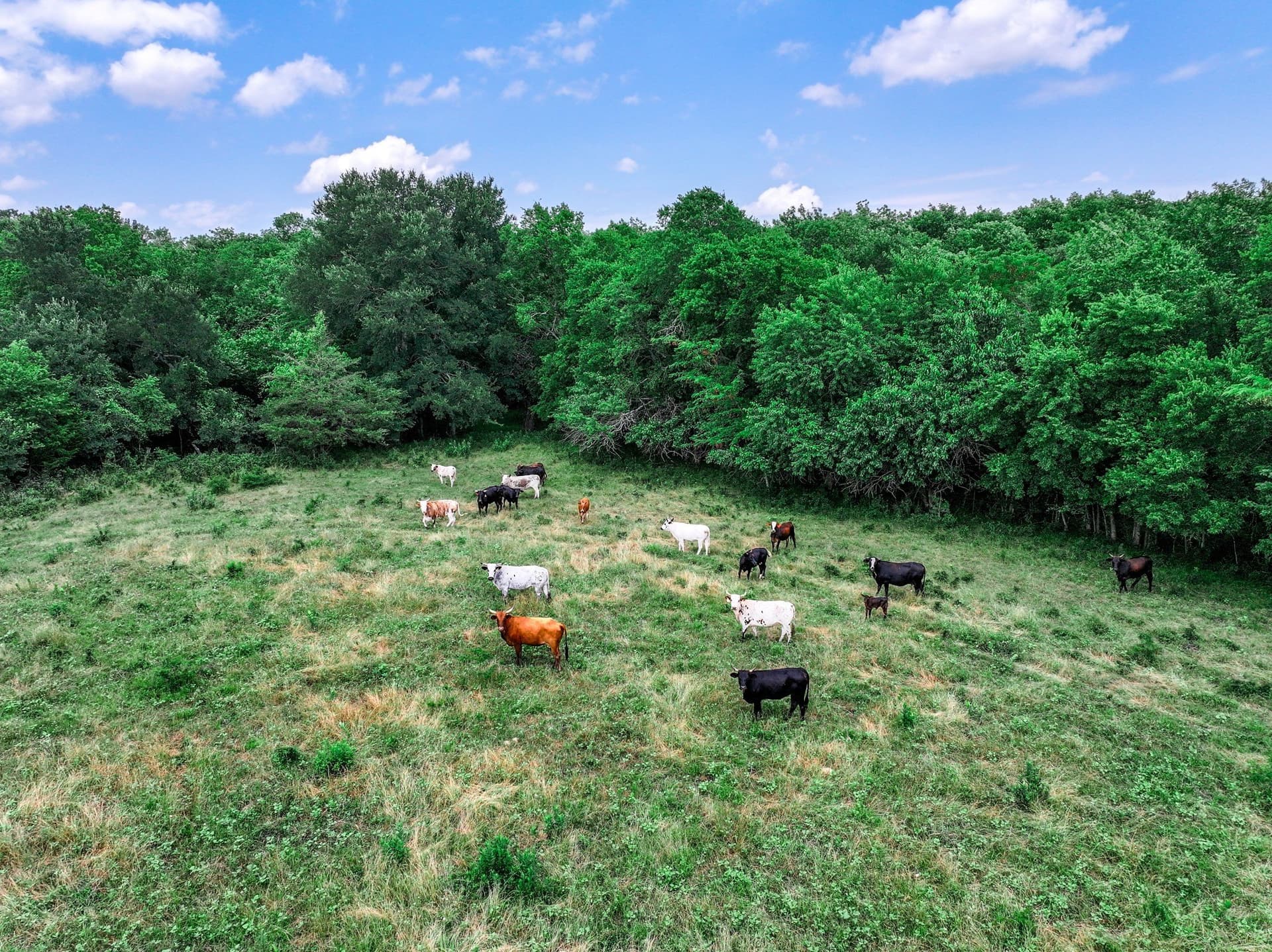 66.68 acres in Delta County