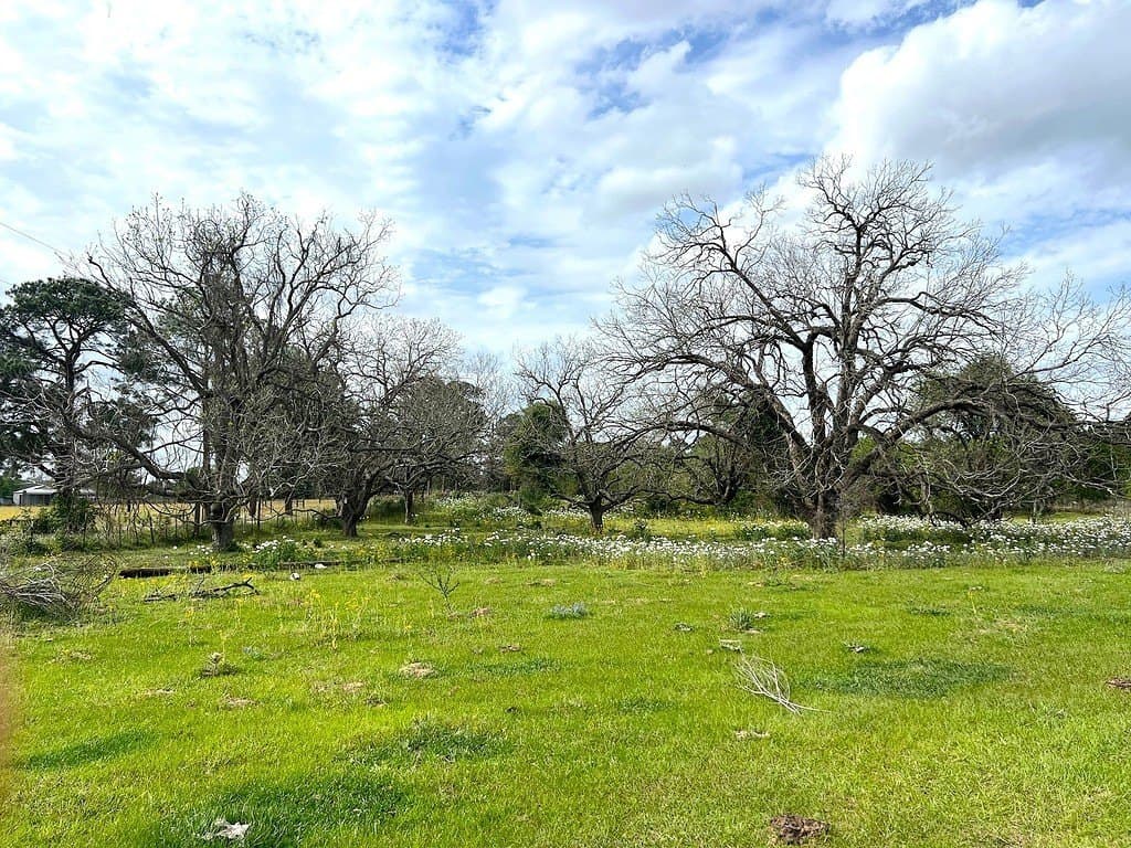42.19 acres in Austin County