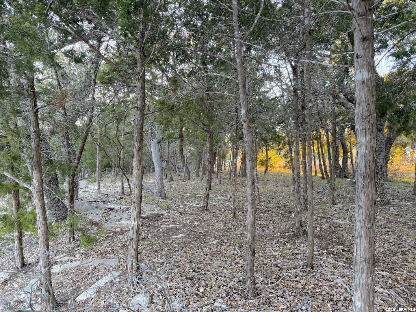 0.5 acres in Comal County