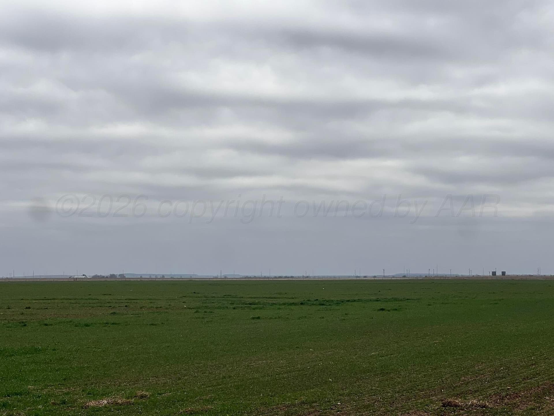 117 acres in Hardeman County