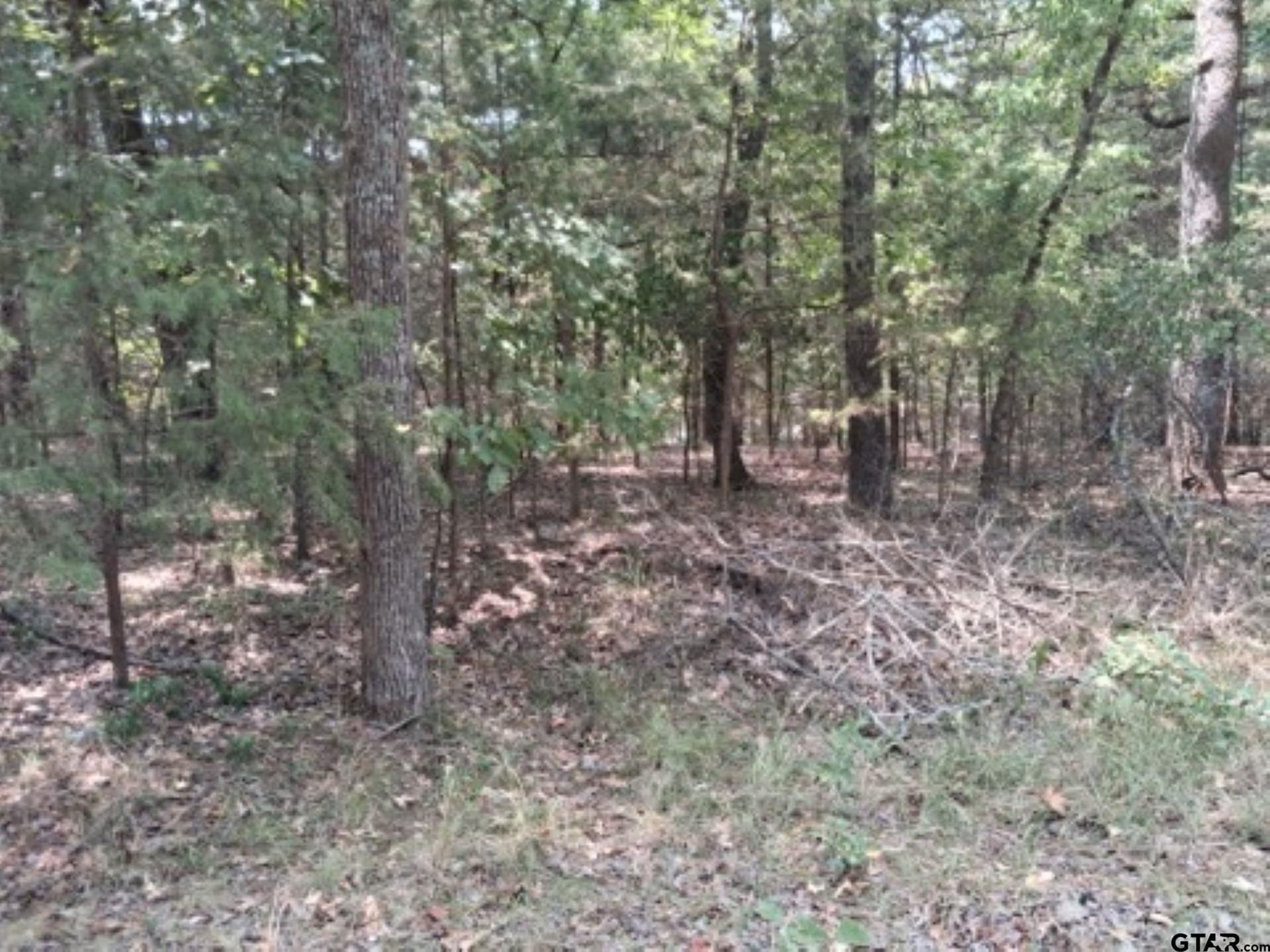 0.24 acres in Van Zandt County