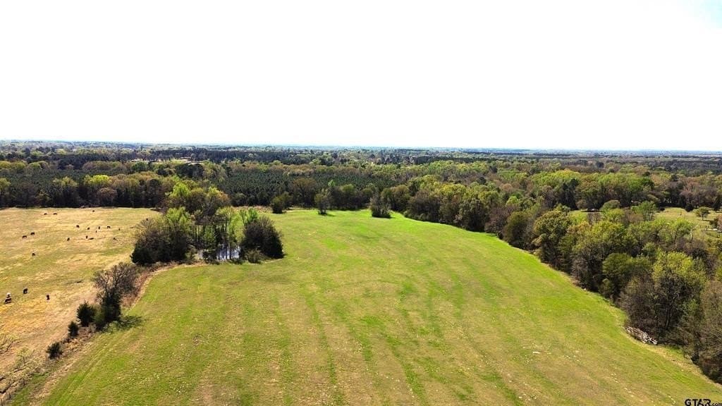 18.35 acres in Camp County