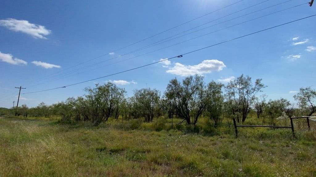 156.38 acres in Scurry County