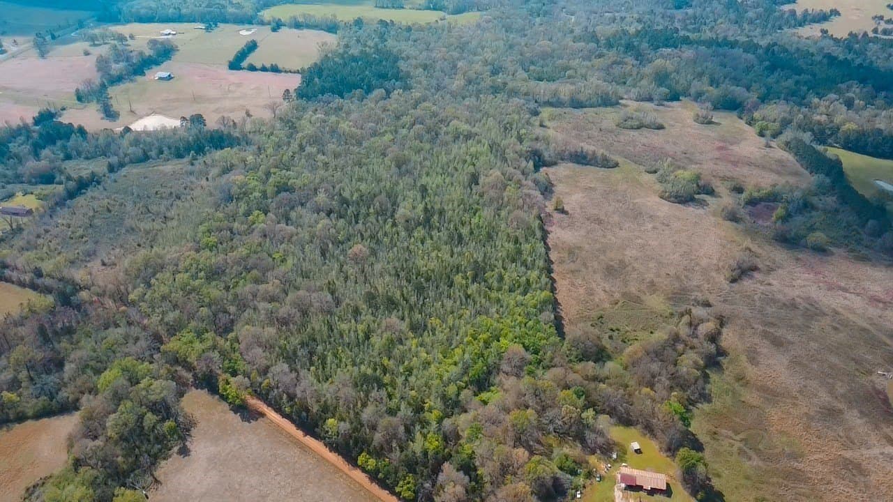 75 acres in Cass County