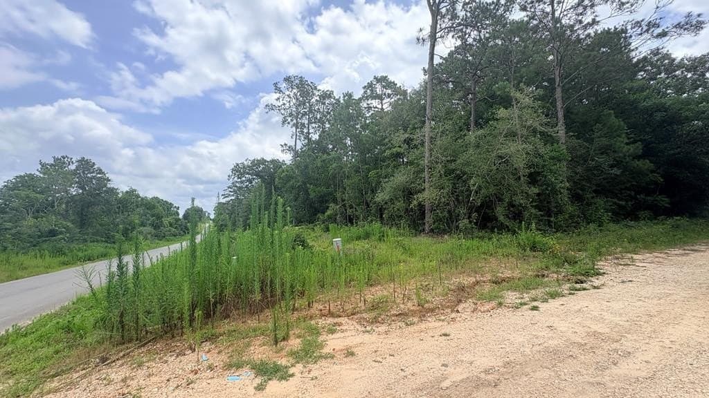 0.18 acres in Texas County