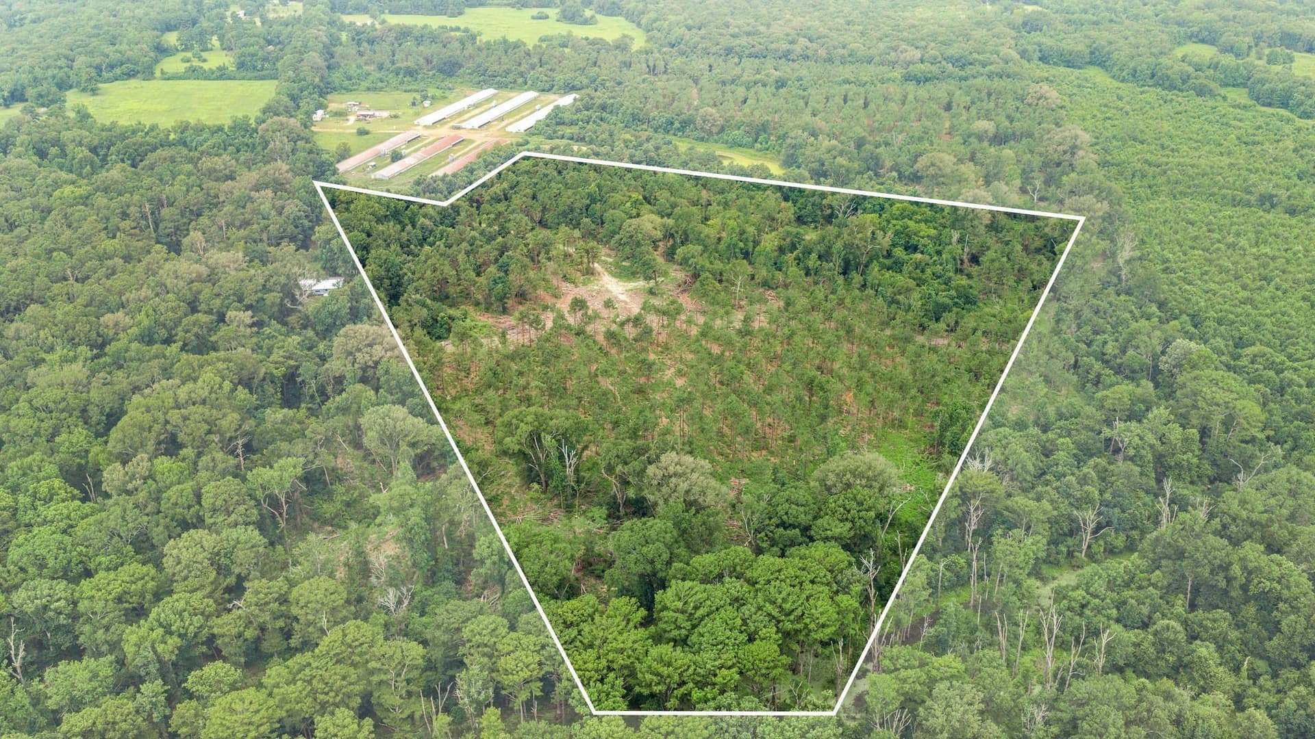 50.25 acres in Shelby County