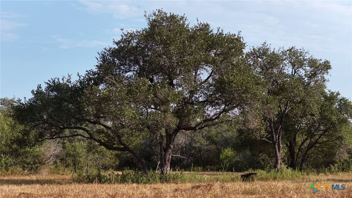 106.24 acres in Refugio County