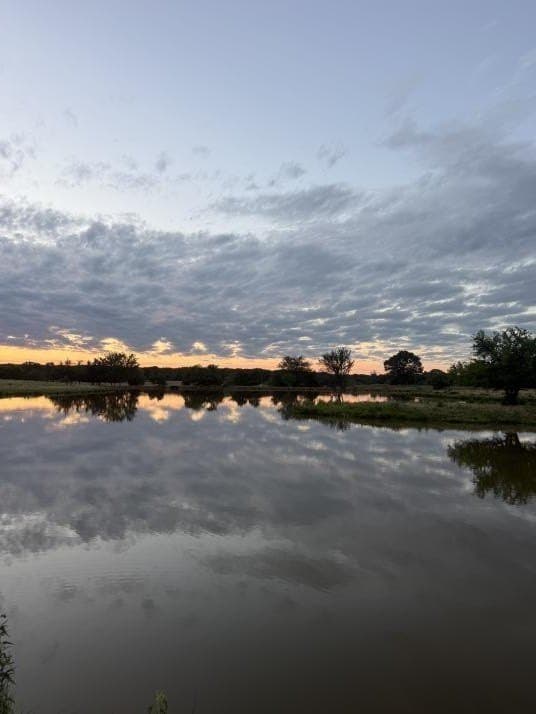 105 acres in Lamar County