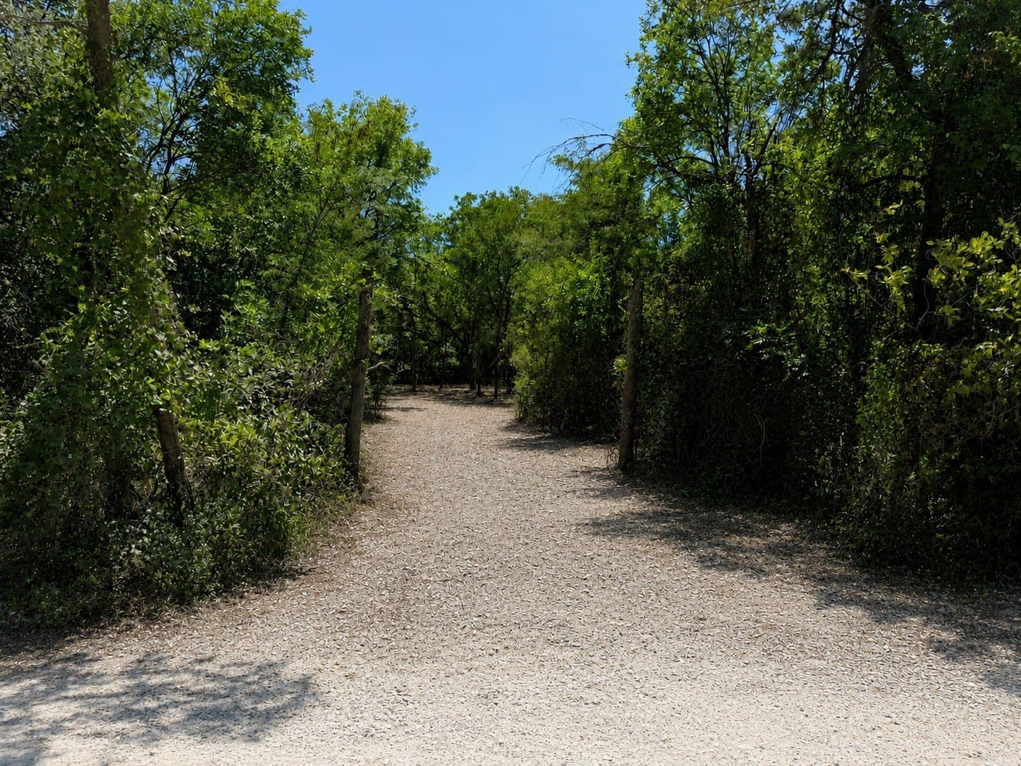 39.24 acres in Navarro County