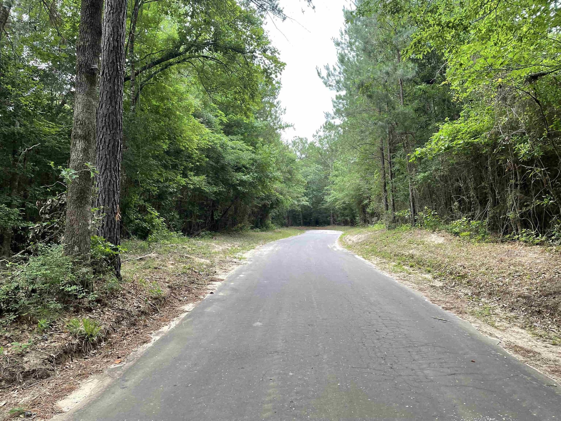 10.04 acres in Texas County