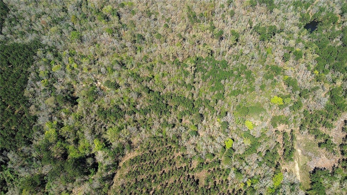 14 acres in Newton County