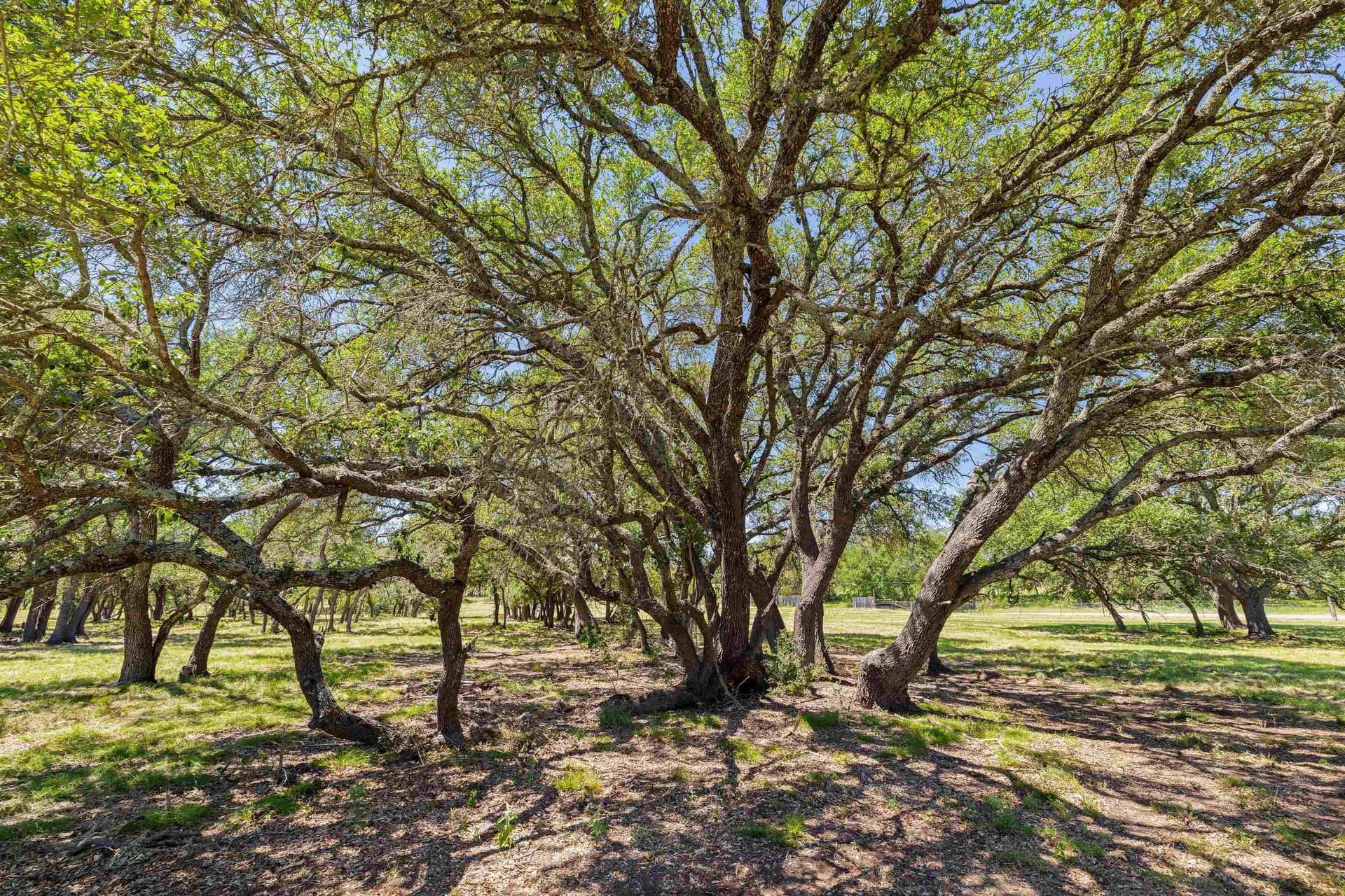 27 acres in Blanco County