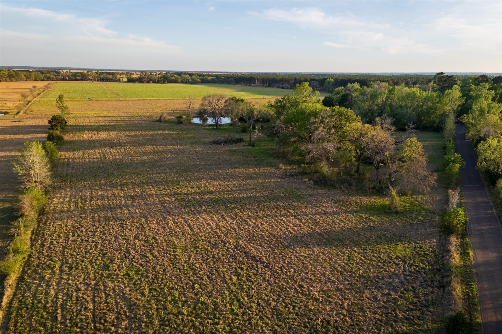 80 acres in Anderson County