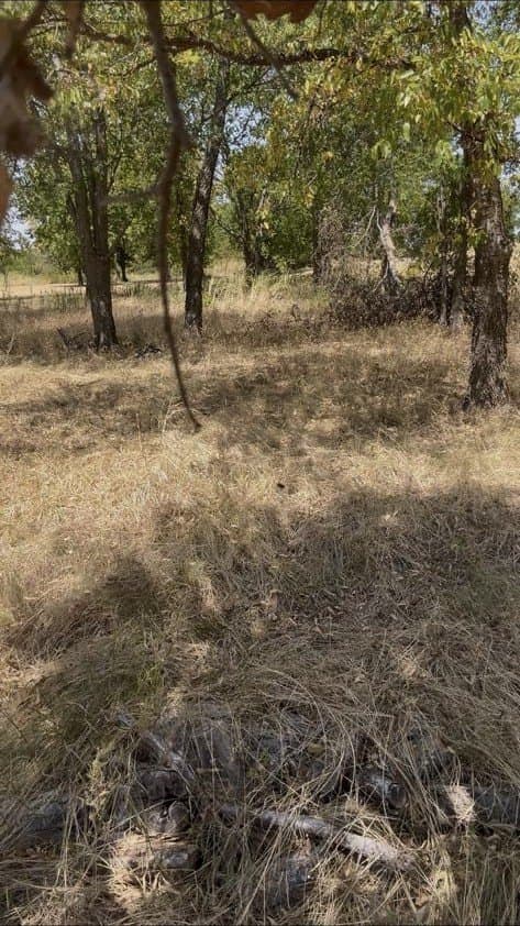 0.12 acres in Hunt County