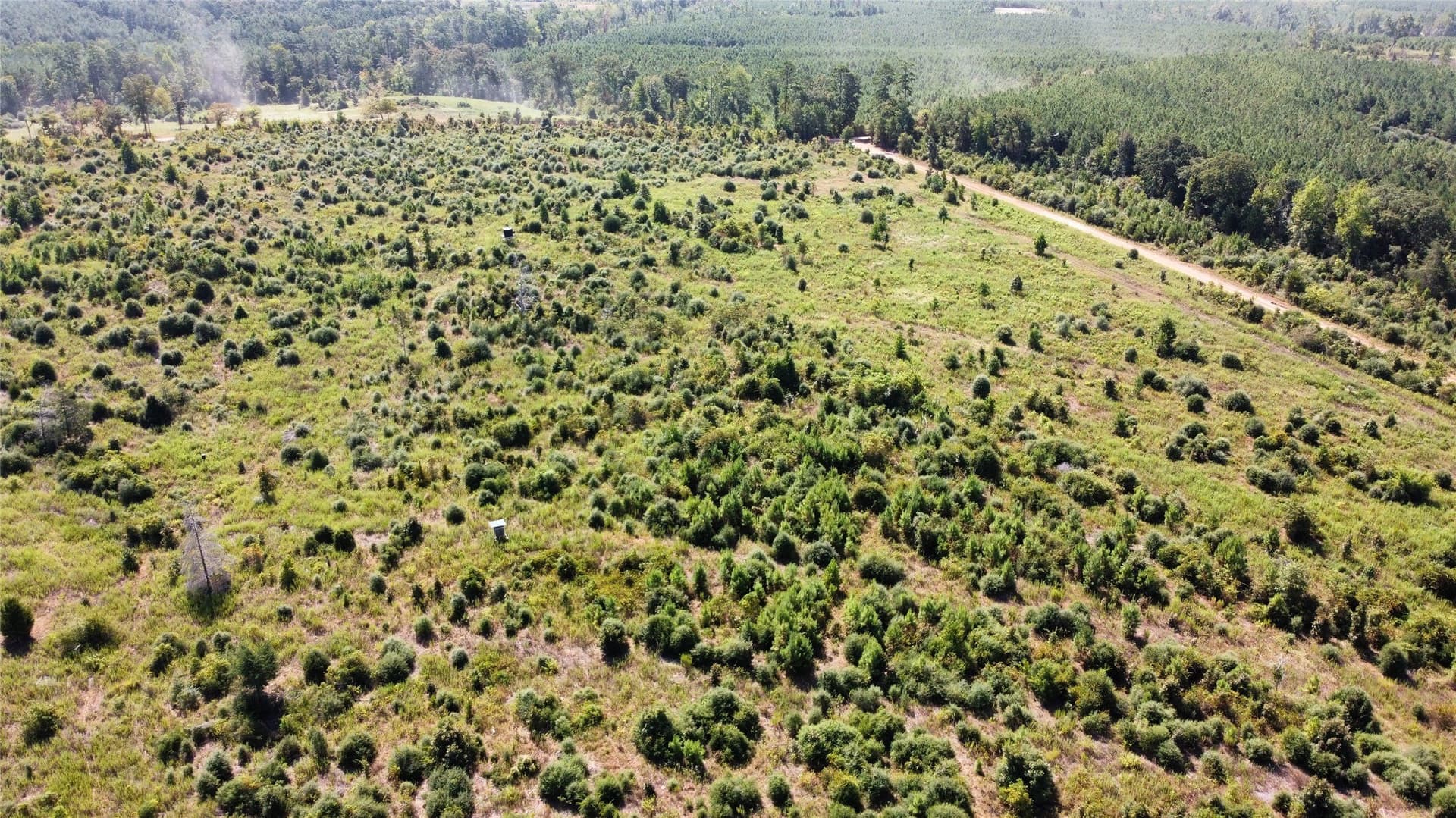 77.15 acres in Nacogdoches County