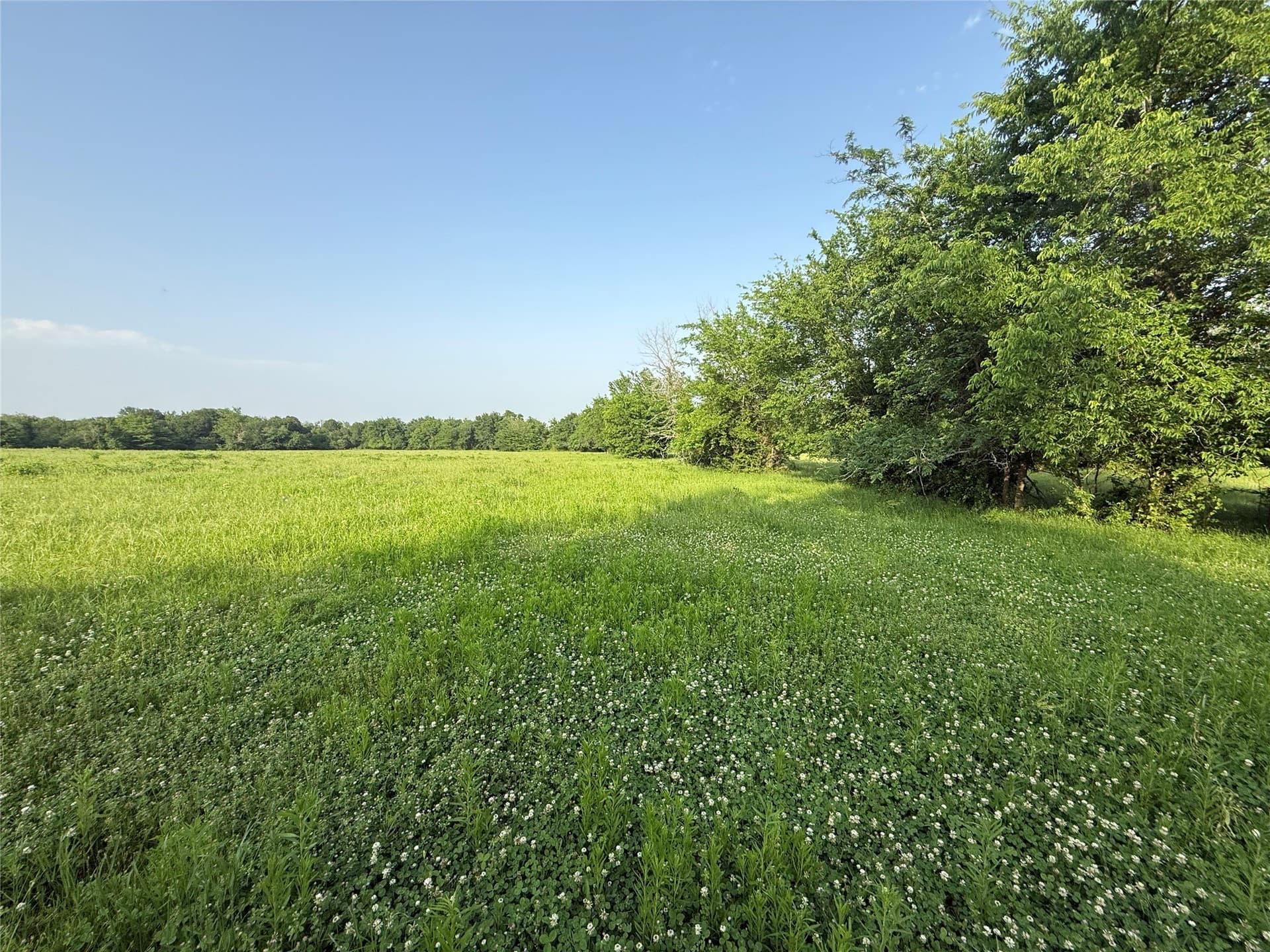10 acres in Hopkins County