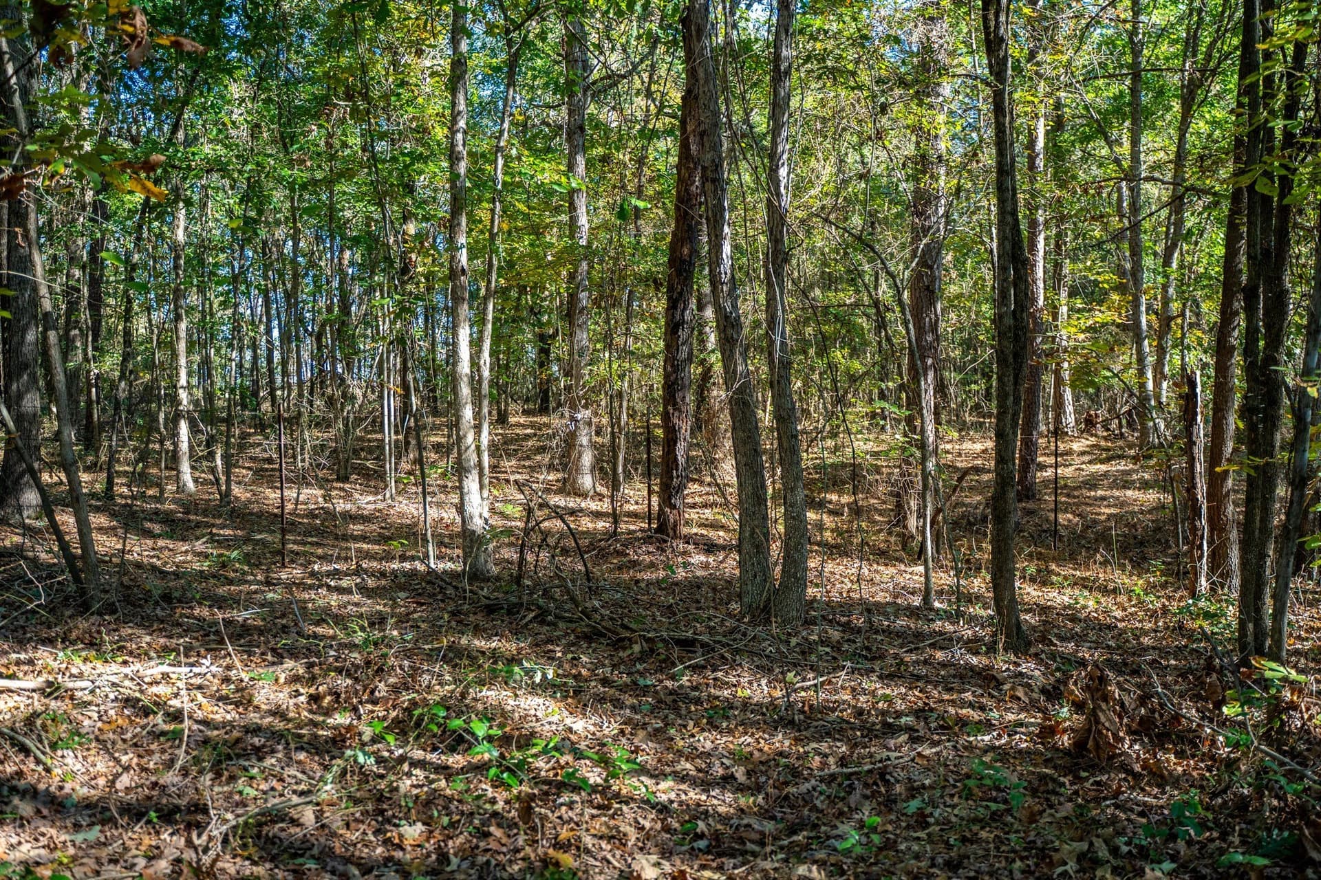 8 acres in Morris County