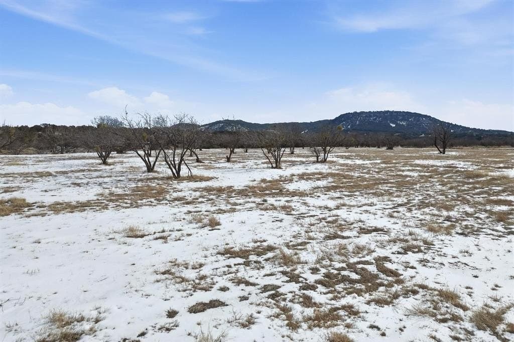 69.41 acres in Taylor County