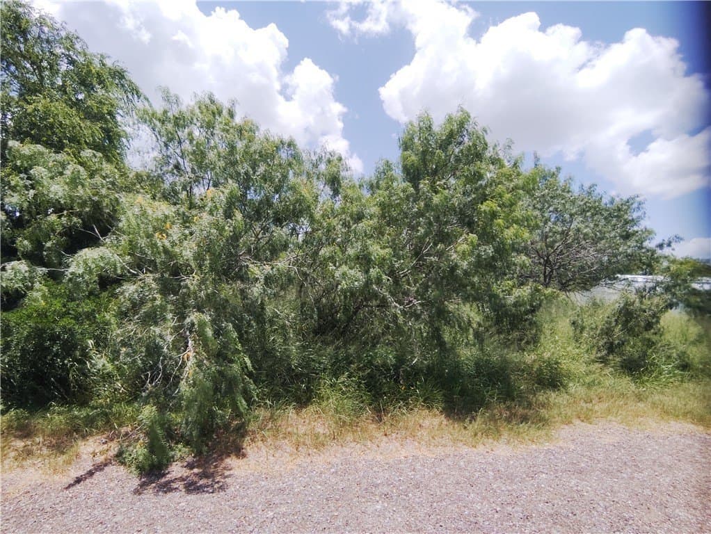 0.18 acres in Live Oak County