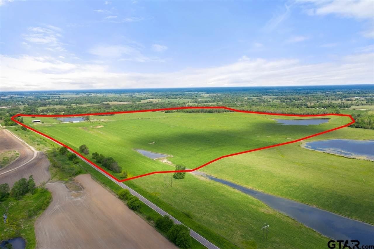 250.5 acres in Titus County